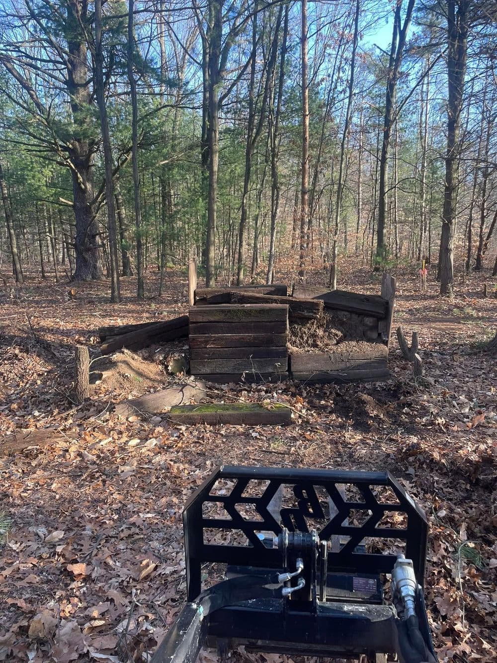 Forest landscape with a wooden structure and machinery in the foreground, surrounded by fallen leaves.