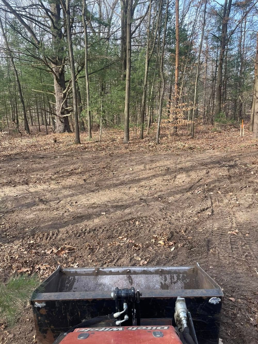 View from a tractor with cleared land in a wooded area, showing tire tracks and trees.